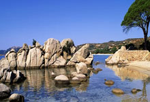 上海北郊绿洲美景：后花园之旅攻略指南